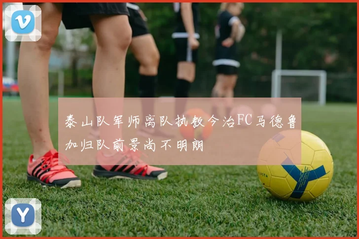 泰山队军师离队执教今治FC马德鲁加归队前景尚不明朗