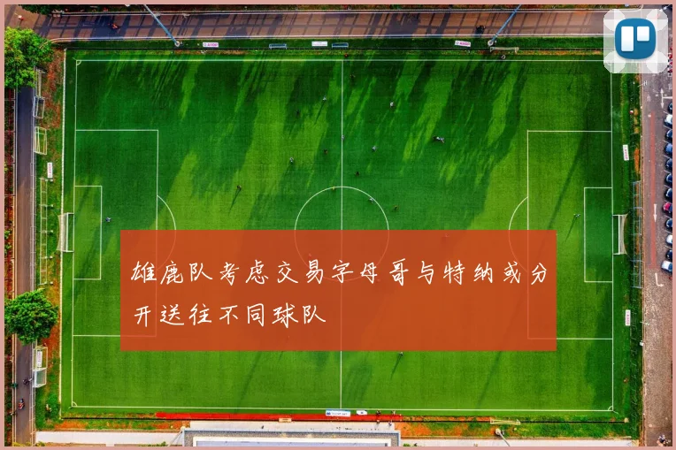 雄鹿队考虑交易字母哥与特纳或分开送往不同球队